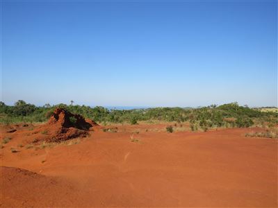 Red Desert